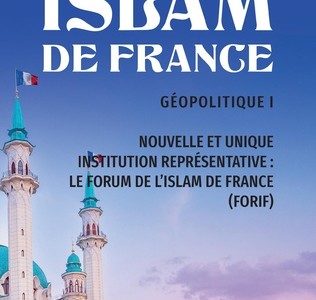 ISLAM DE FRANCE Tome I
